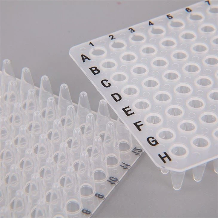 PCR Plate in China